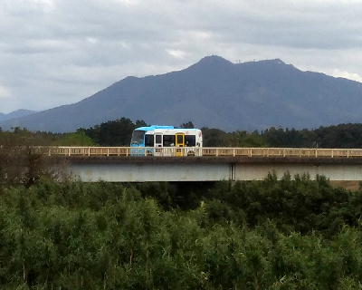 ������(2024)